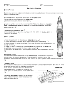 Earthworm: Digestive System, Structure of Alimentary Canal, Physiology