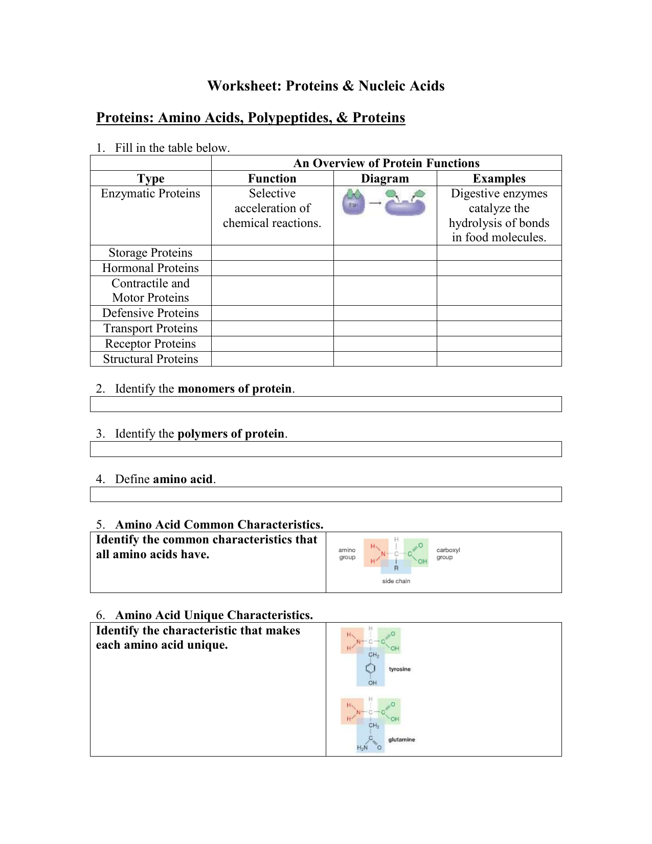 Quiz & Worksheet Proteins & Nucleic Acids Worksheets