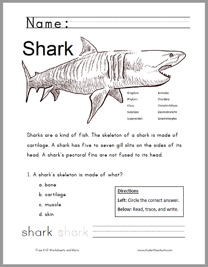 3 FREE Printable Shark Worksheets For Kids