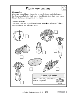A free science activity worksheet on Insects for kindergarten and 