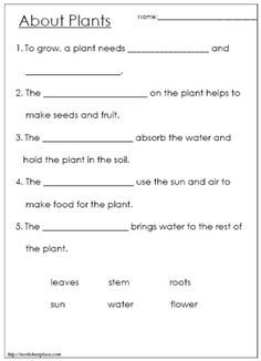 200 Printable Class 4 Science worksheets - Instant Download