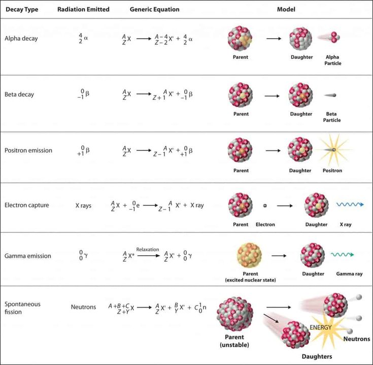 Quiz &amp; Worksheet - Characteristics of Nuclear Reactions | Study.com