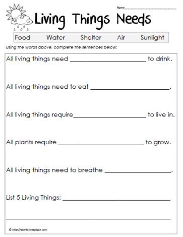 Download Printable Force and Motion Worksheets for Grade 3
