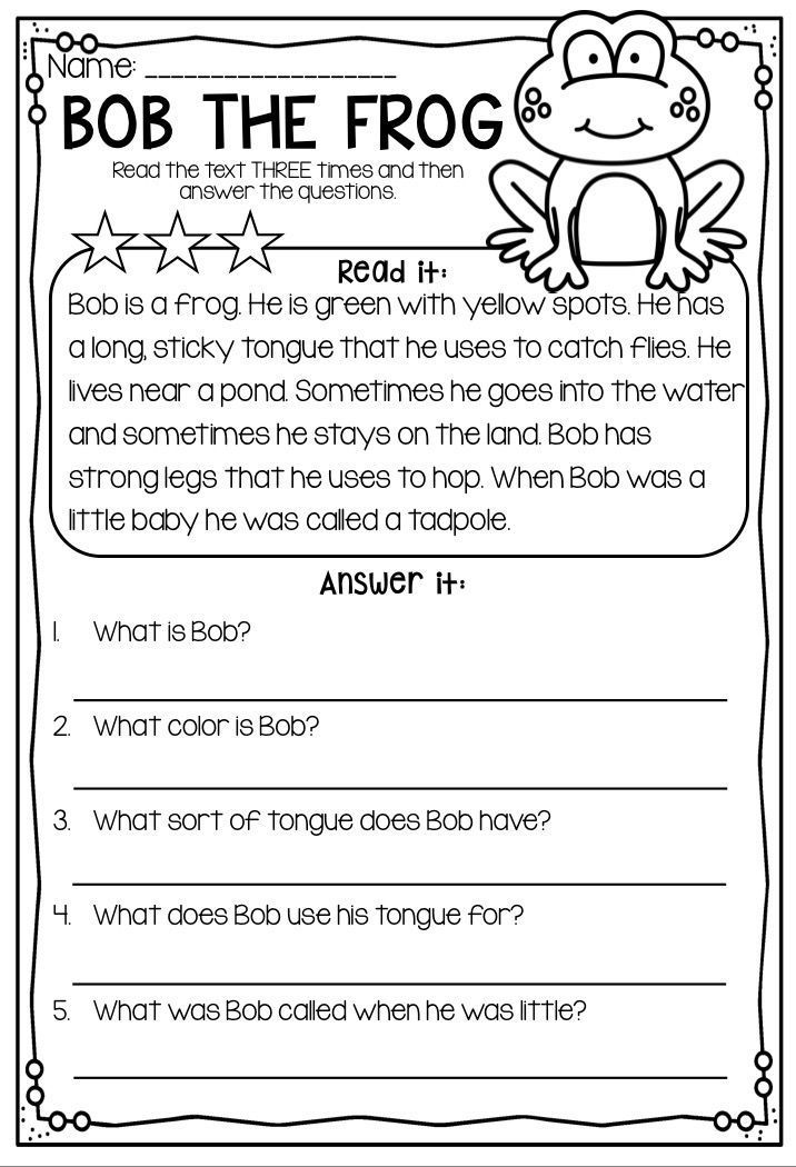 2nd-3rd Grade Reading Comprehension Passages and Questions by 