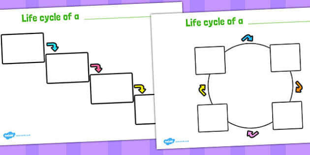 Plant Life Cycle Worksheets -Worksheets Library