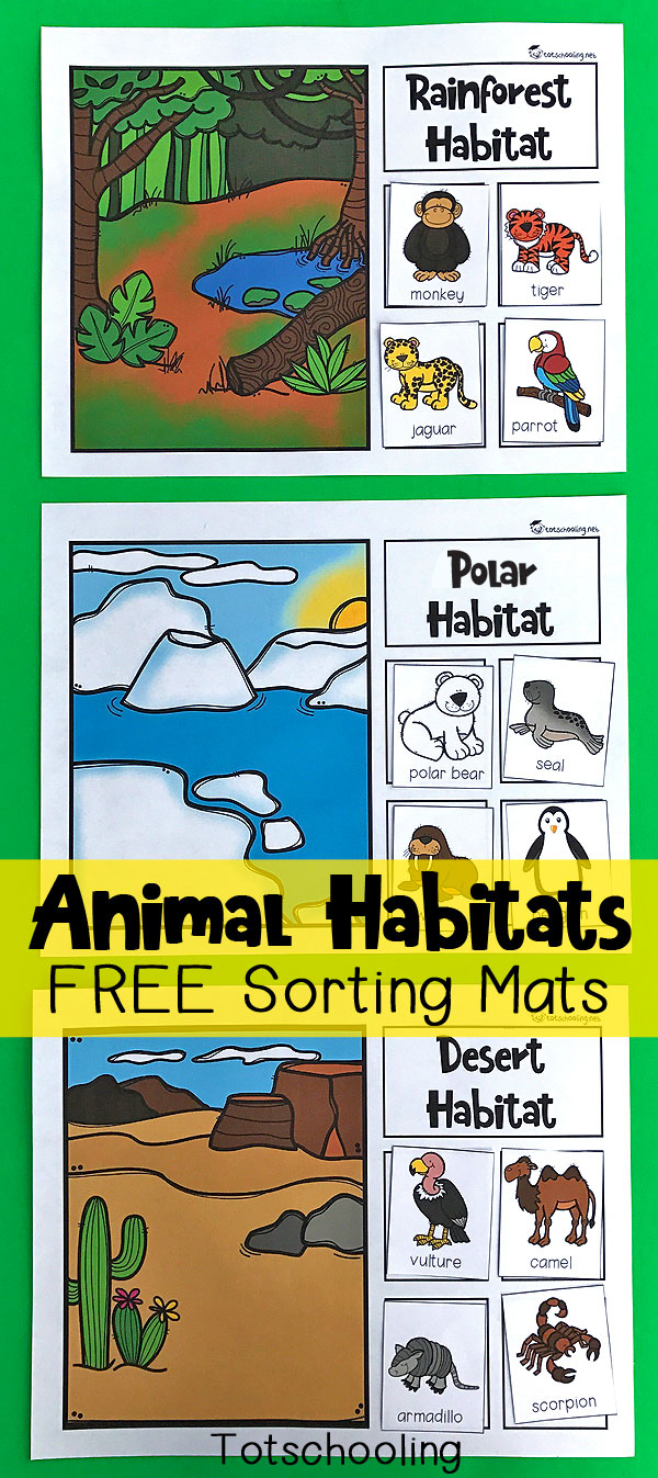 animal habitats worksheets