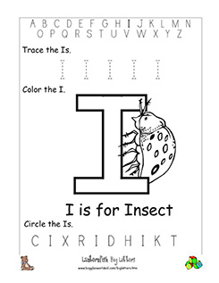 Letter o Worksheets