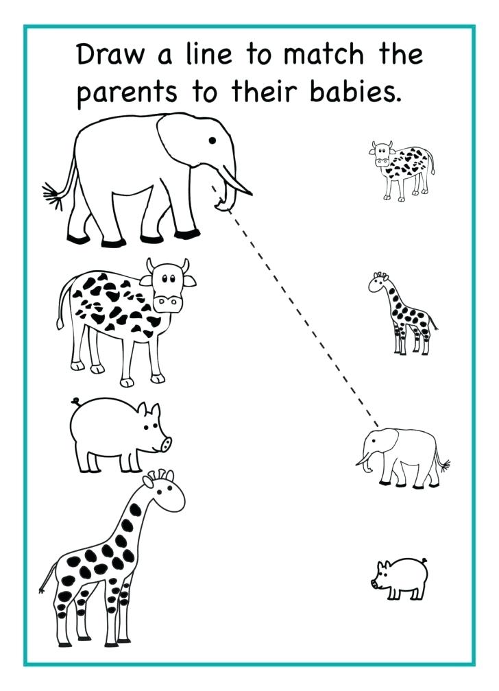 Amazon.com: ALPHABET &  NUMBERS (120 Worksheets), Preschool 