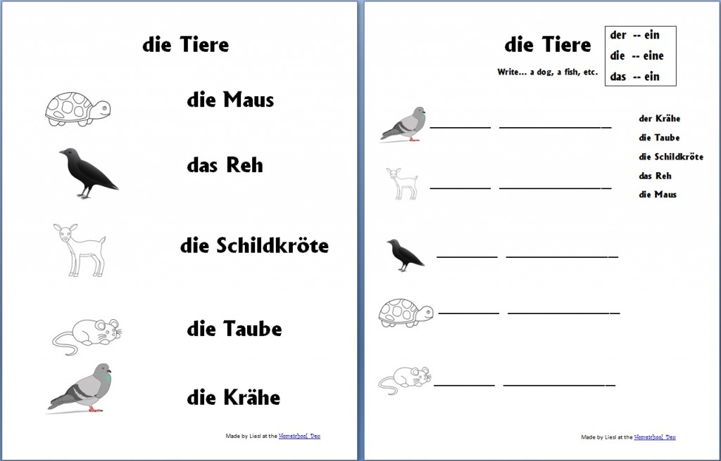 German Months Of The Year Worksheet Packet