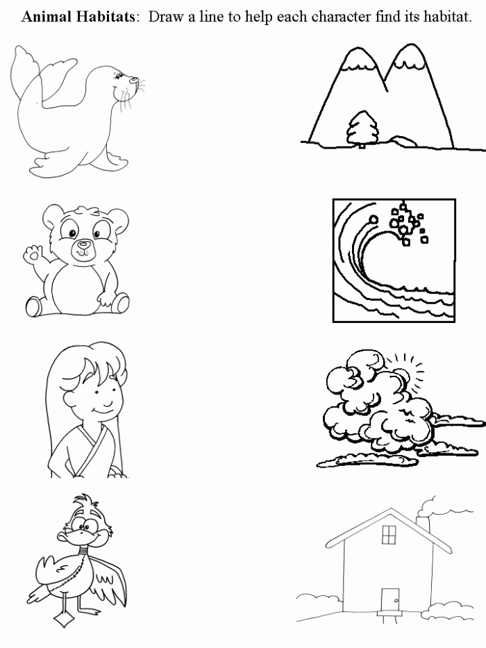 animal habitat worksheets