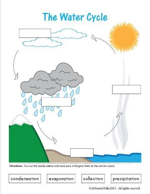 Water Cycle Worksheet | Download Free Printables For Kids