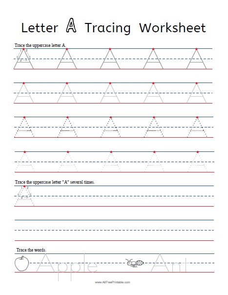 A Letter Tracing Worksheet . Uppercase and Lowercase Letter or 