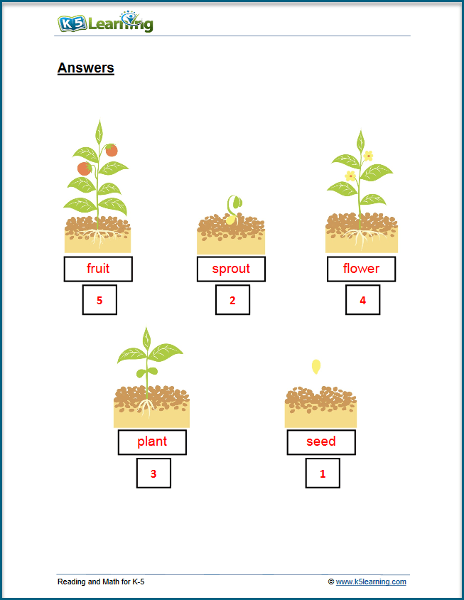 Class 1 Science Worksheets with Answers