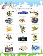classification of organisms worksheets