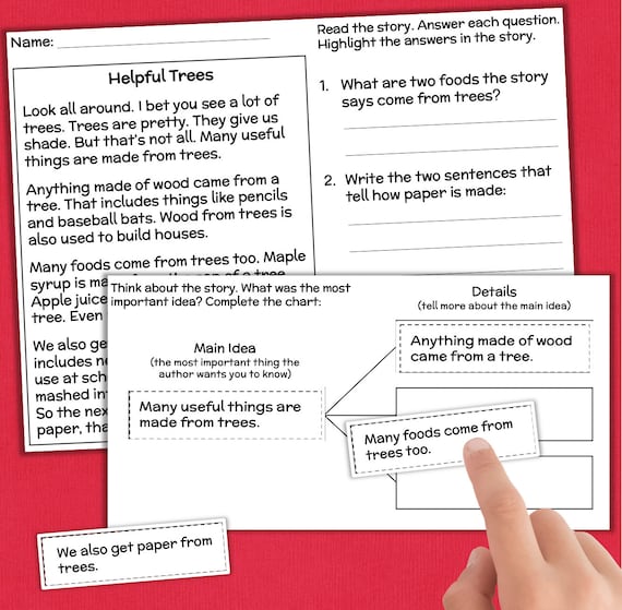 Reading Comprehension Worksheet - The Bully