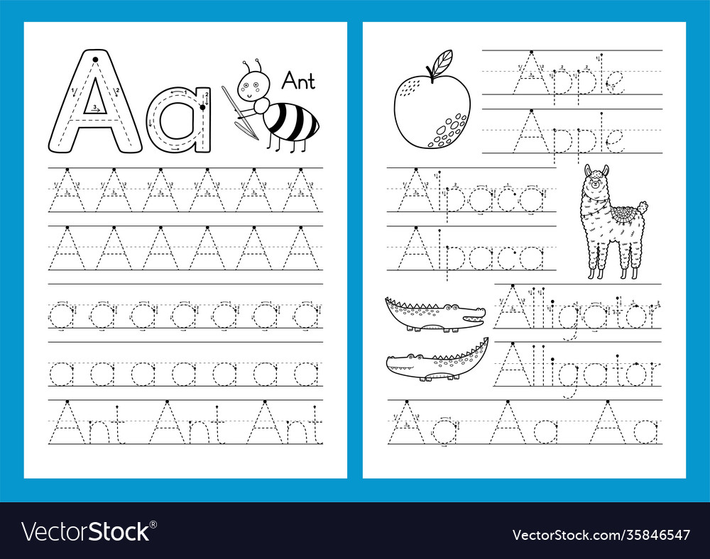 Learning English words. Worksheets for kids education for school 