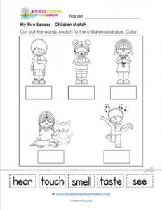 5 Senses Worksheets for Preschool and Kindergarten - Free 