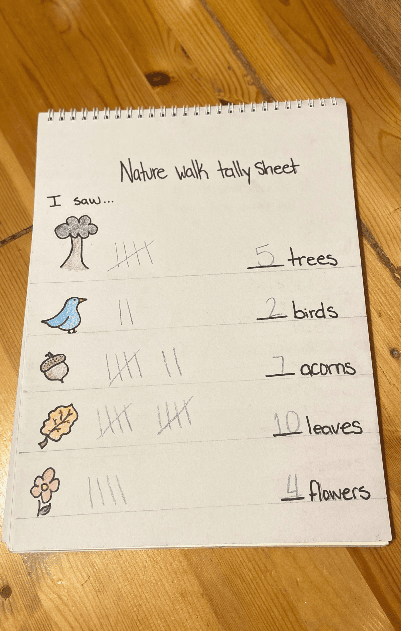 Download our free printable Tally Mark Worksheet 05 for kids