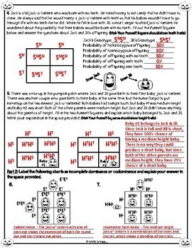 codominance and incomplete dominance worksheets