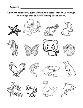 Ocean Worksheet Pack – Cookies &amp; Racecars