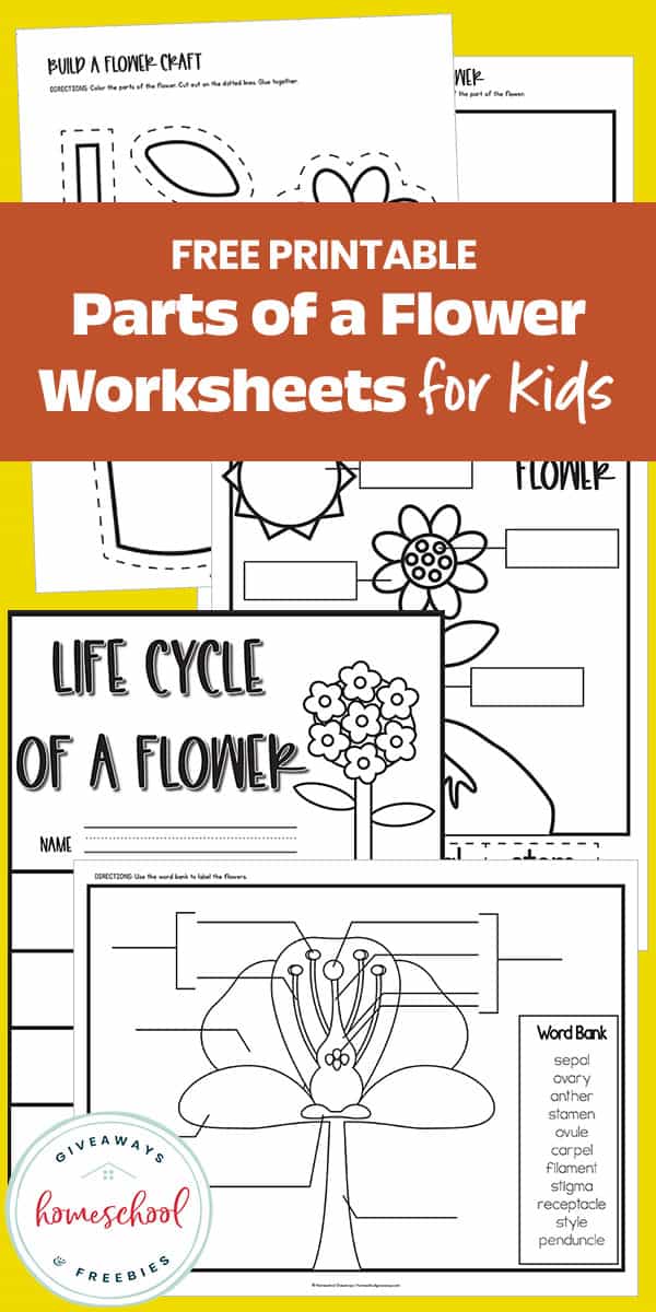 free homeschool worksheets