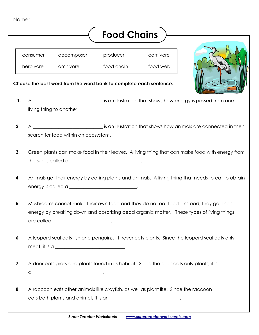 ecosystem worksheets