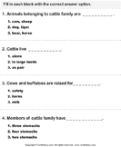 Squirrel Informational Page - First Grade Science Worksheets 