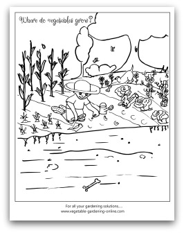 Garden vocabulary worksheets - worksheetspack