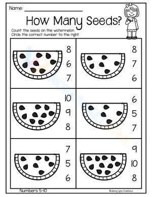 1 to 1 correspondence worksheet