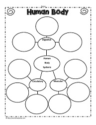 11 body systems worksheet