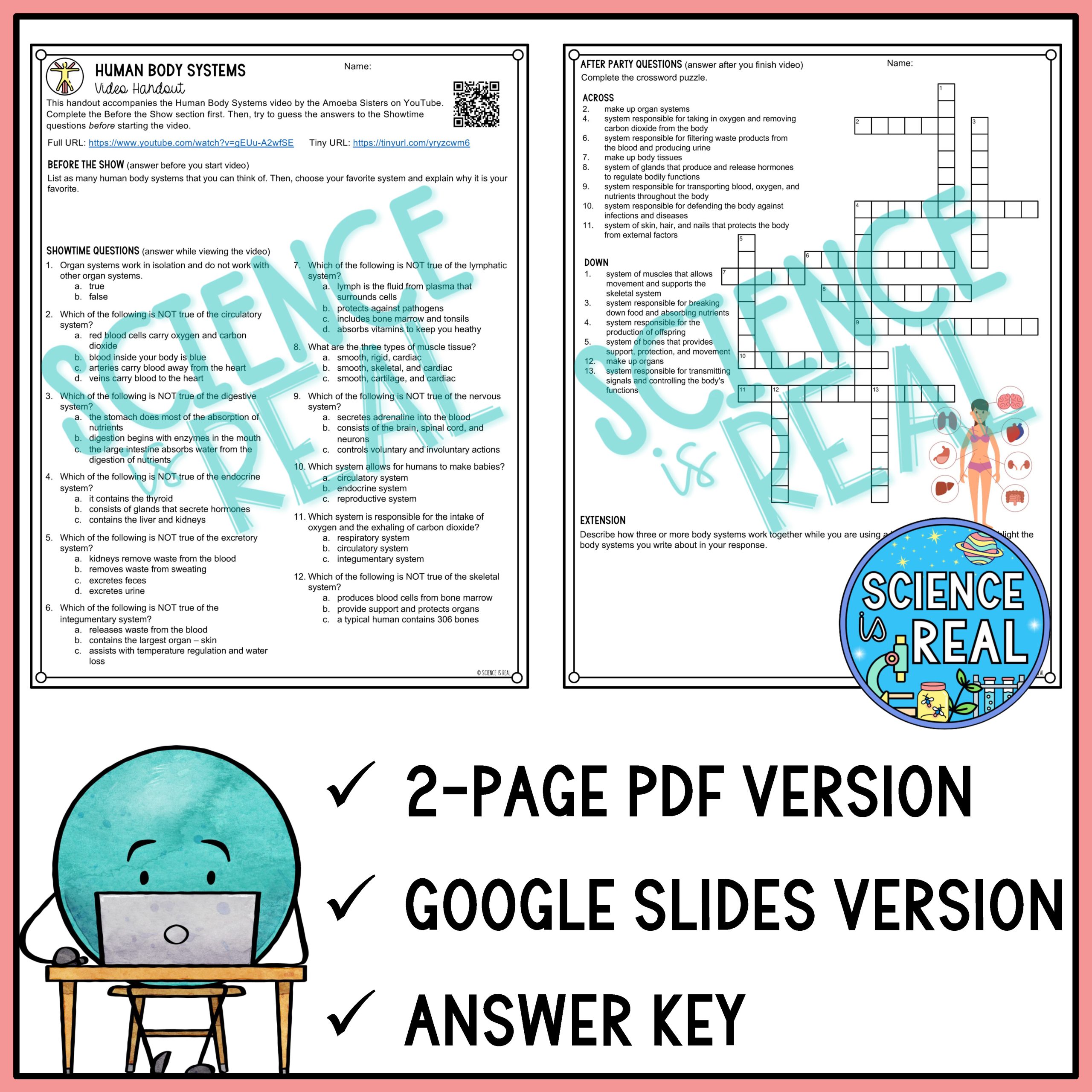 11 human body systems worksheet