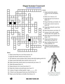 11 human body systems worksheet