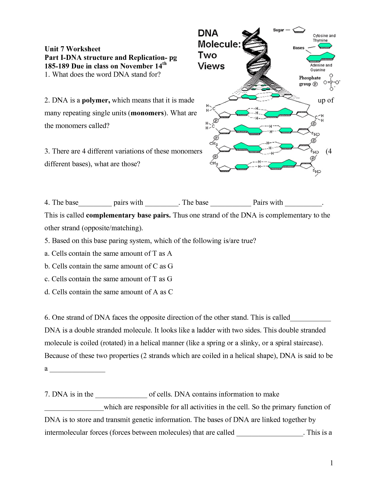Week 20 Meiosis and DNA | MrBordens Biology Rattler Site Room 664
