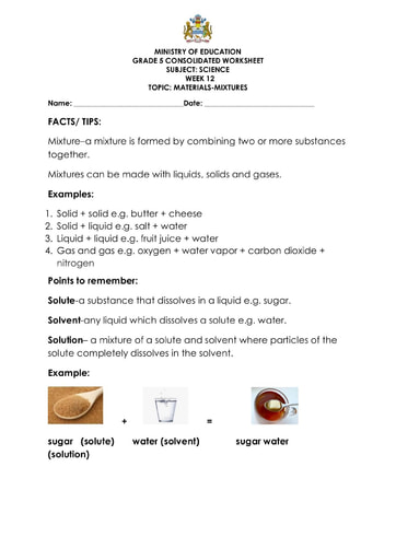 12 grade science worksheet