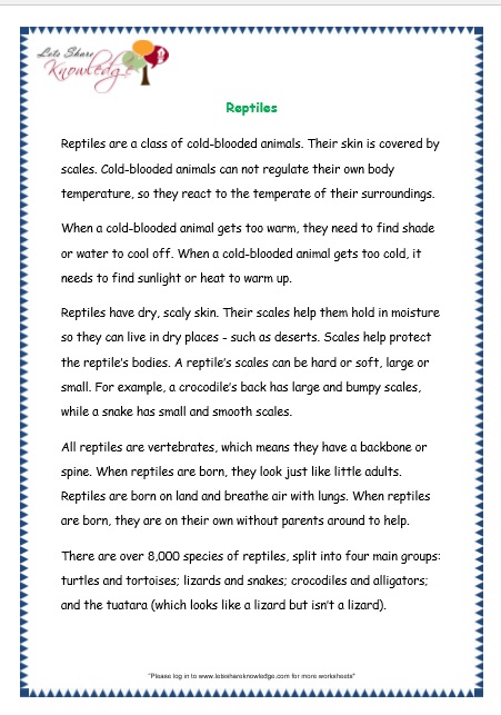13th grade worksheet