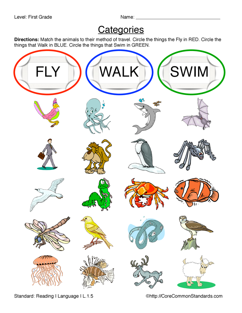 1st grade common core worksheet