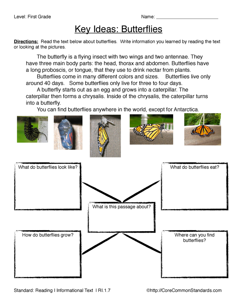 RI.1.7 Common Core Worksheet  