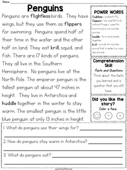 1st Grade Reading Passages for Guided Reading - January