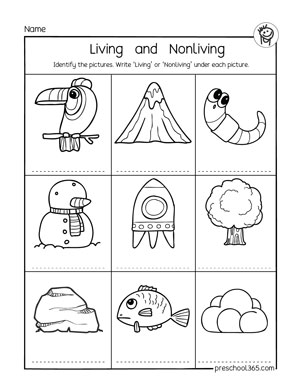 1st grade science worksheet free printables