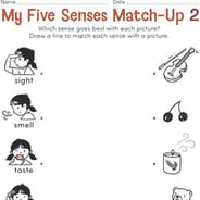 1st grade science worksheet free