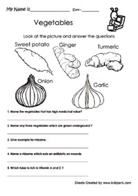 Science Worksheets,Grade 1 Activity Sheet,Printable Worksheets