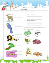 1st grade science worksheet pdf