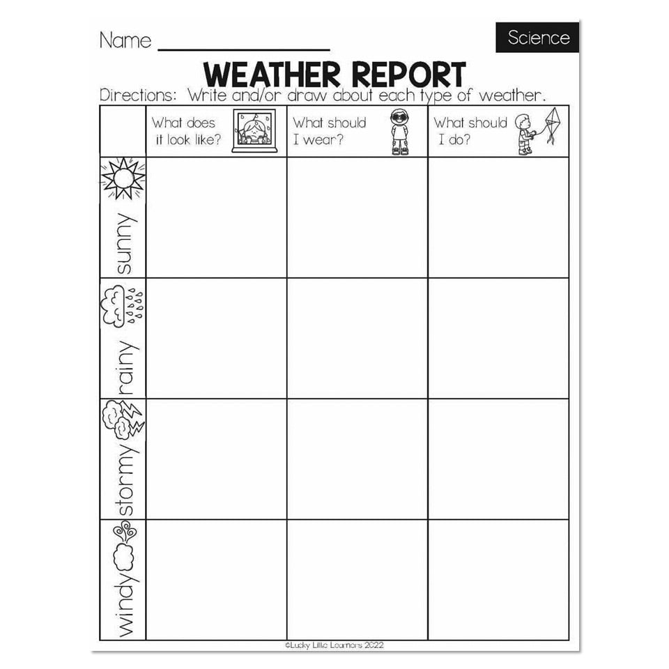 1st grade science worksheet