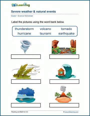 Science worksheets for grade 1 students | Worsheets library