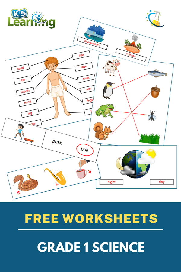 Science worksheets for grade 1 students | Worsheets library