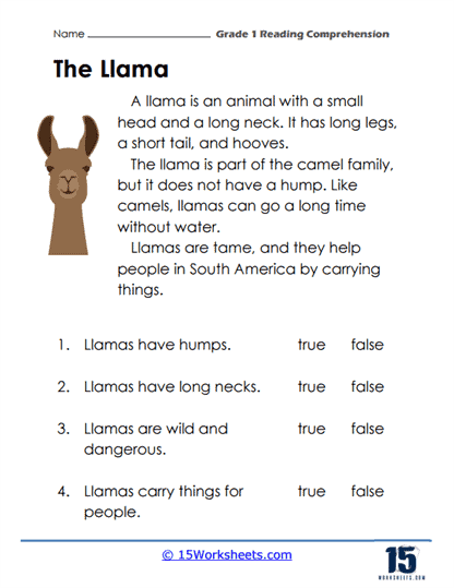 Grade 1 Reading Comprehension Worksheets