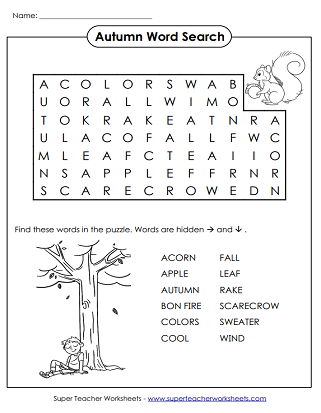 Word Search Puzzles