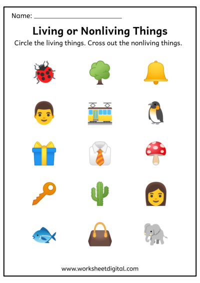 Grade 2 Science - Worksheet Digital