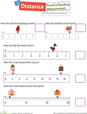 3.MD.B.4 Worksheets - Common Core Math