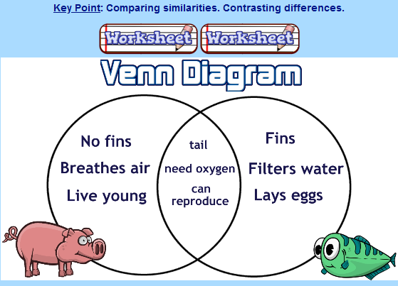 3rd grade compare and contrast worksheet